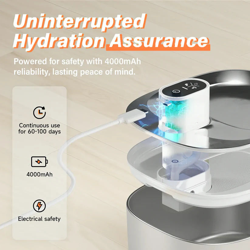 The KittyStream™ - Wired